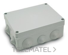 FAMATEL - CAJA DER. EST. 220x170 PG.21-29 TORN.