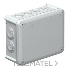 OBO-BETTERMANN - CAJA ESTANCA 190X150 C/CONOS T-160