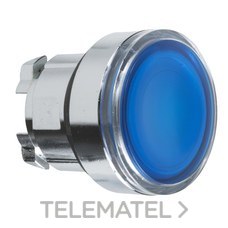 SCHNEIDER ELECTRIC - CABEZA PULS.LUMIN.RASANTE LED AZUL