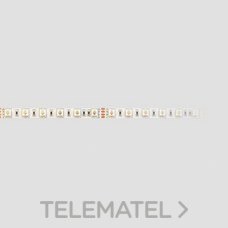 MASLIGHTING - TIRA LED SMD5050 IP20 60led/m 12W 24V RGB