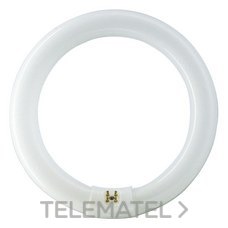 PHILIPS - TUBO FLUOR. CIRCULAR 32W/840