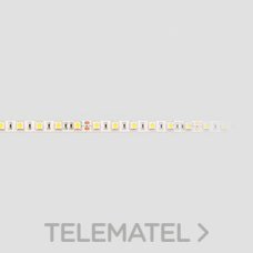 MASLIGHTING - TIRA LED SMD5050 IP20 60led/m 14,4W 24V 6000K