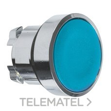 SCHNEIDER ELECTRIC - CABEZA PULSADOR RASANTE AZUL