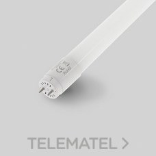 MASLIGHTING - TUBO LED CLEAR ECO 18W 4000K 1200mm