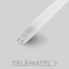 MASLIGHTING - TUBO LED CLEAR ECO 25W 4000K 1500mm
