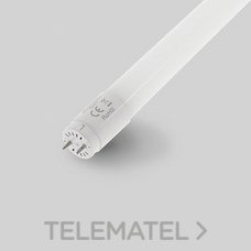 MASLIGHTING - TUBO LED CLEAR ECO 9W 4000K 600mm
