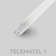 MASLIGHTING - TUBO LED CLEAR ECO 9W 6000K 600mm