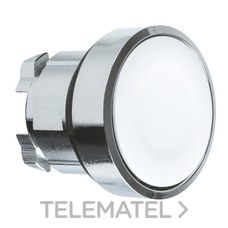 SCHNEIDER ELECTRIC - CABEZA PULSADOR RASANTE BLANCO