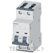SIEMENS - INT.AUT.70 6KA CURVA C 1P+N 40A - Imagen 2