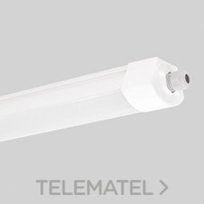 MASLIGHTING - PANT.EST.LED 36W 5000K IP66 1200mm BL