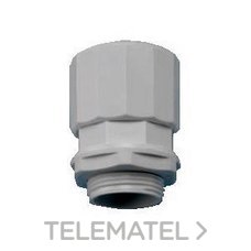 GAESTOPAS - RACOR ROSCADO LH M50 IP67 GR
